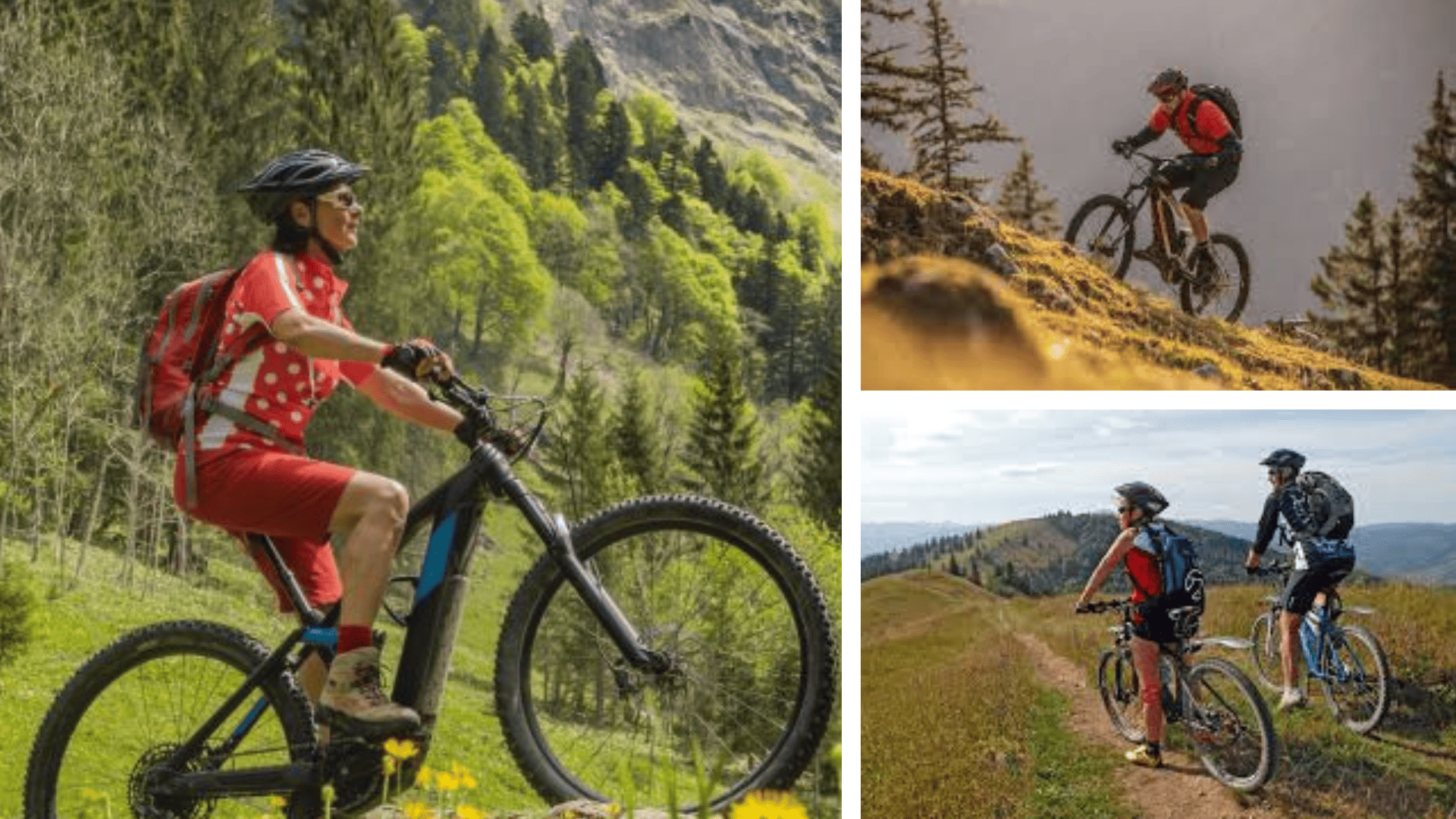 Гірський велосипедист на мальовничій стежці в Карпатах