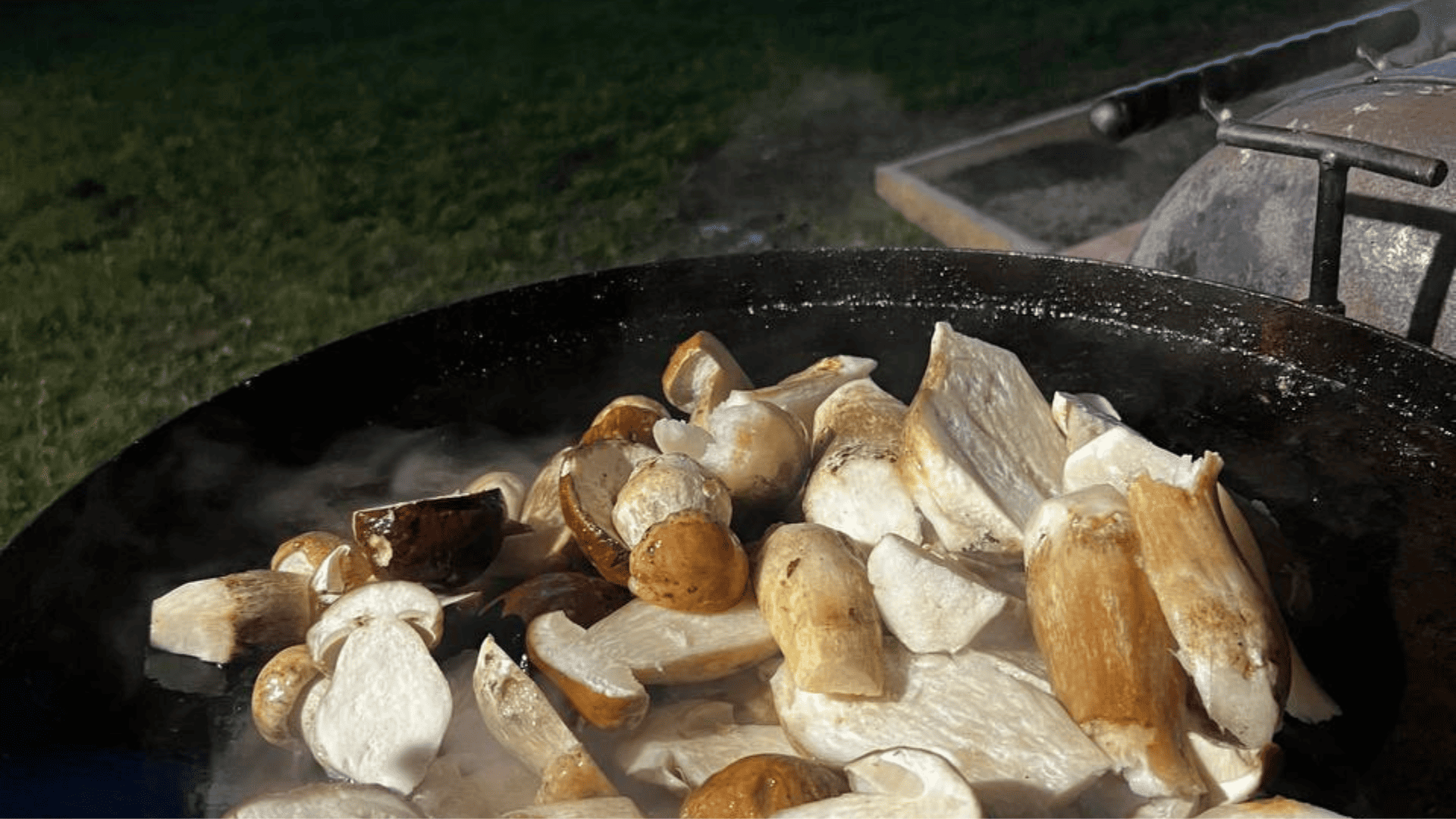 Карпатський ліс, забарвлений в осінні кольори