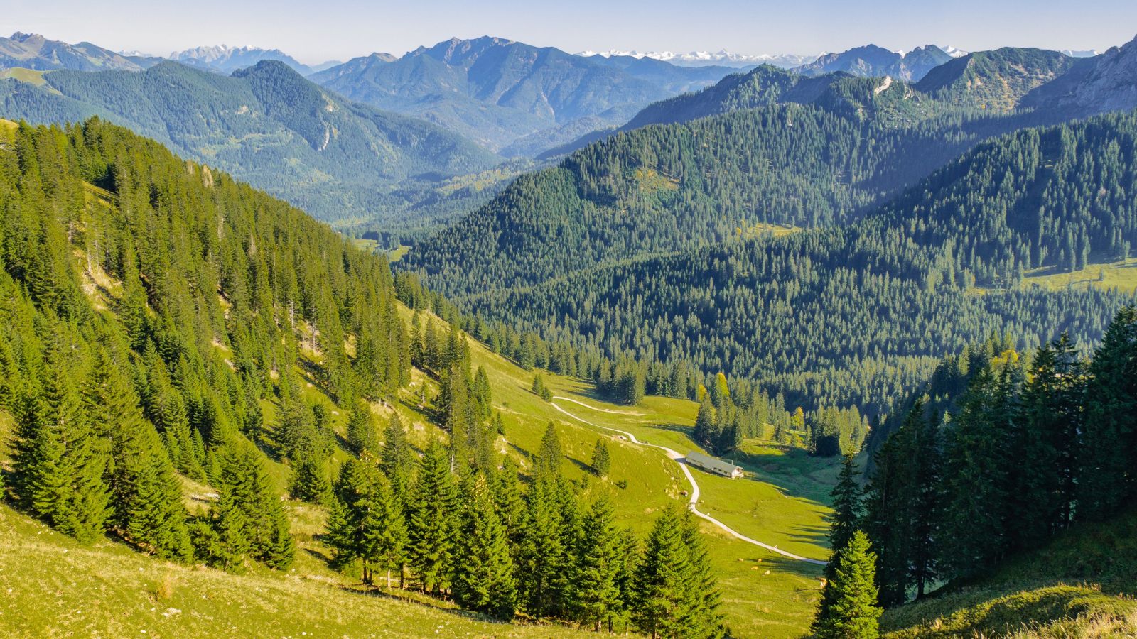 Краєвид Карпат