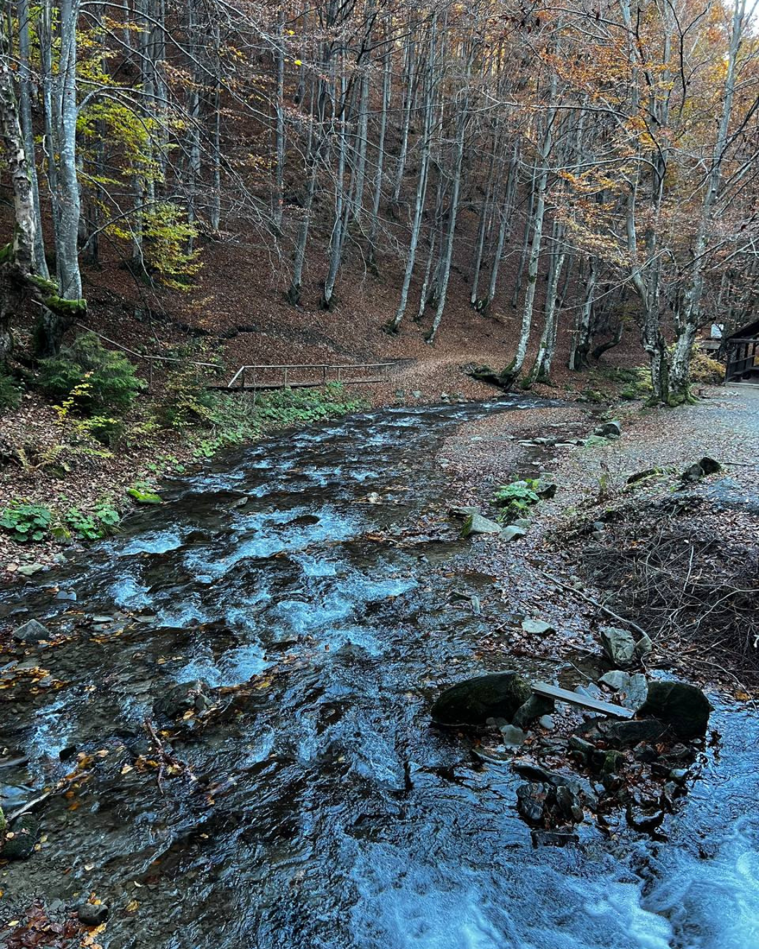 Осіннє сонце освітлює гори біля Пилипця