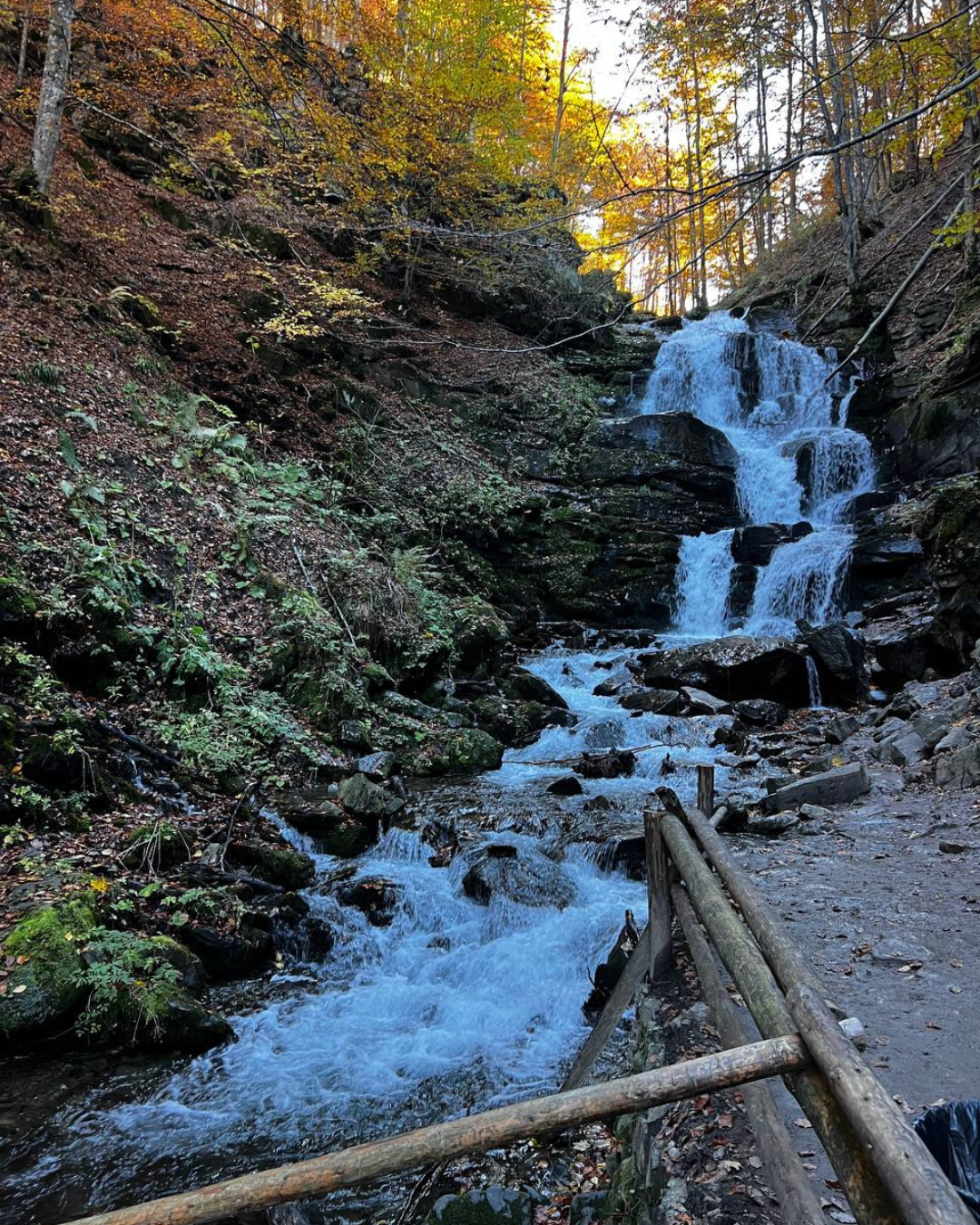 Осінній ранок в Карпатах, вид з вікна котеджу