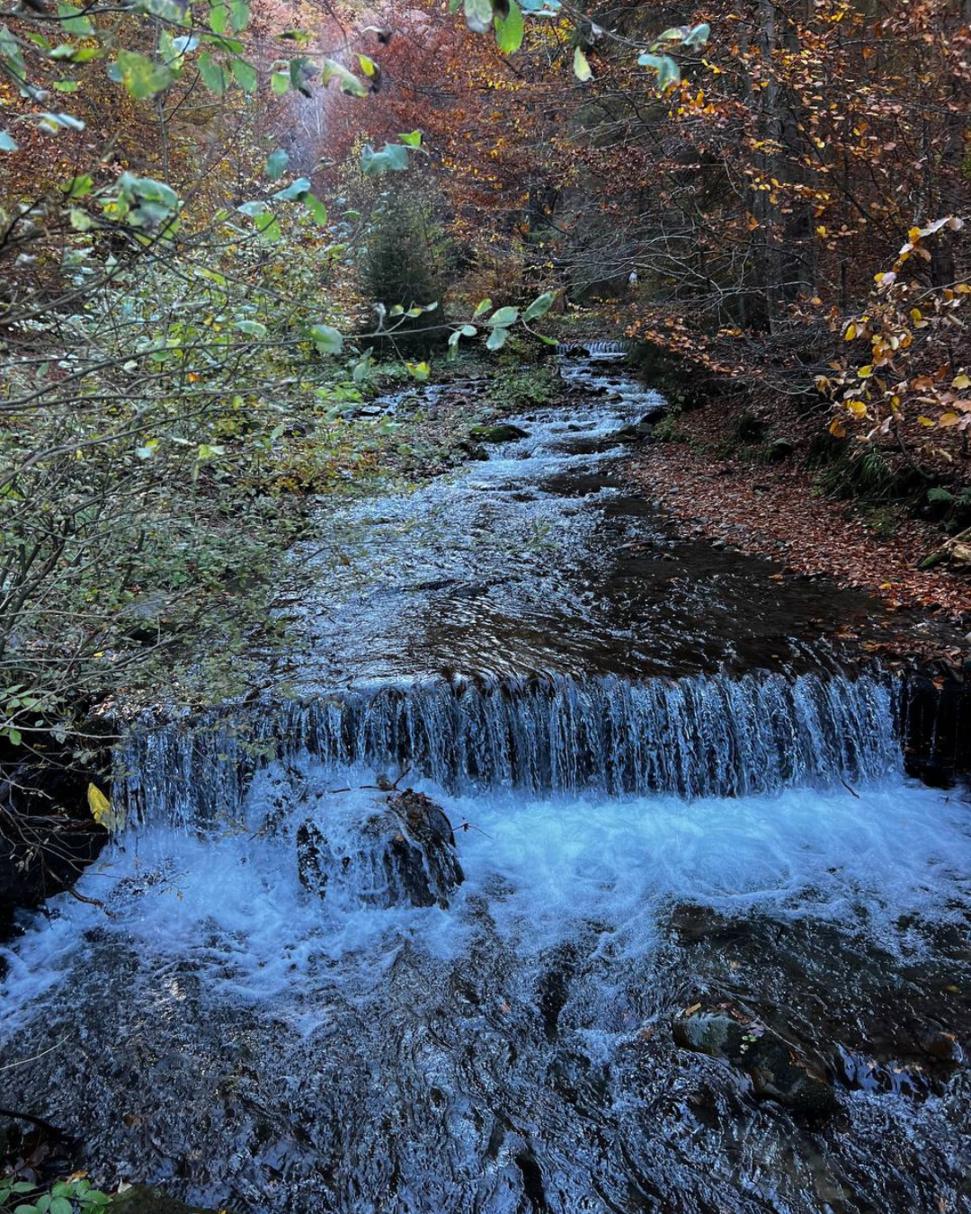 Осінні гори, вкриті туманом, вид з Пилипця