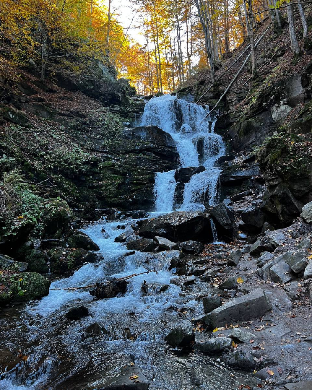 Панорамний вид на осінні Карпати з тераси будинку