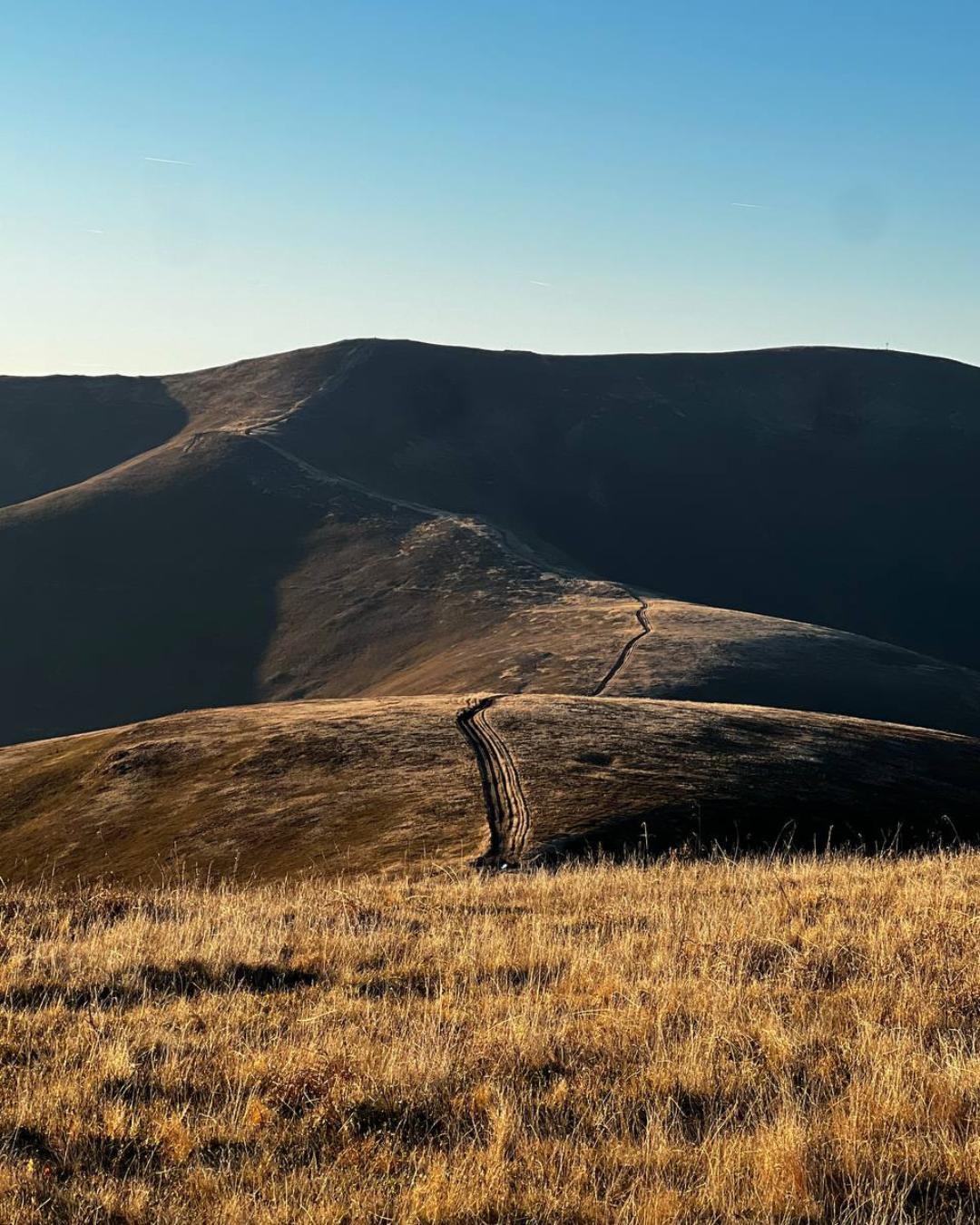 Дерев'яний фасад котеджу на фоні осіннього лісу