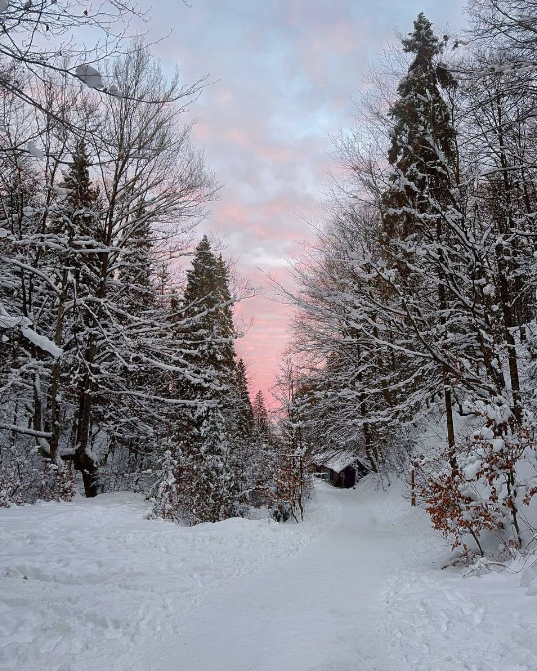 Інтер'єр та екстер'єр котеджу Sota Ski Dream, фото 50