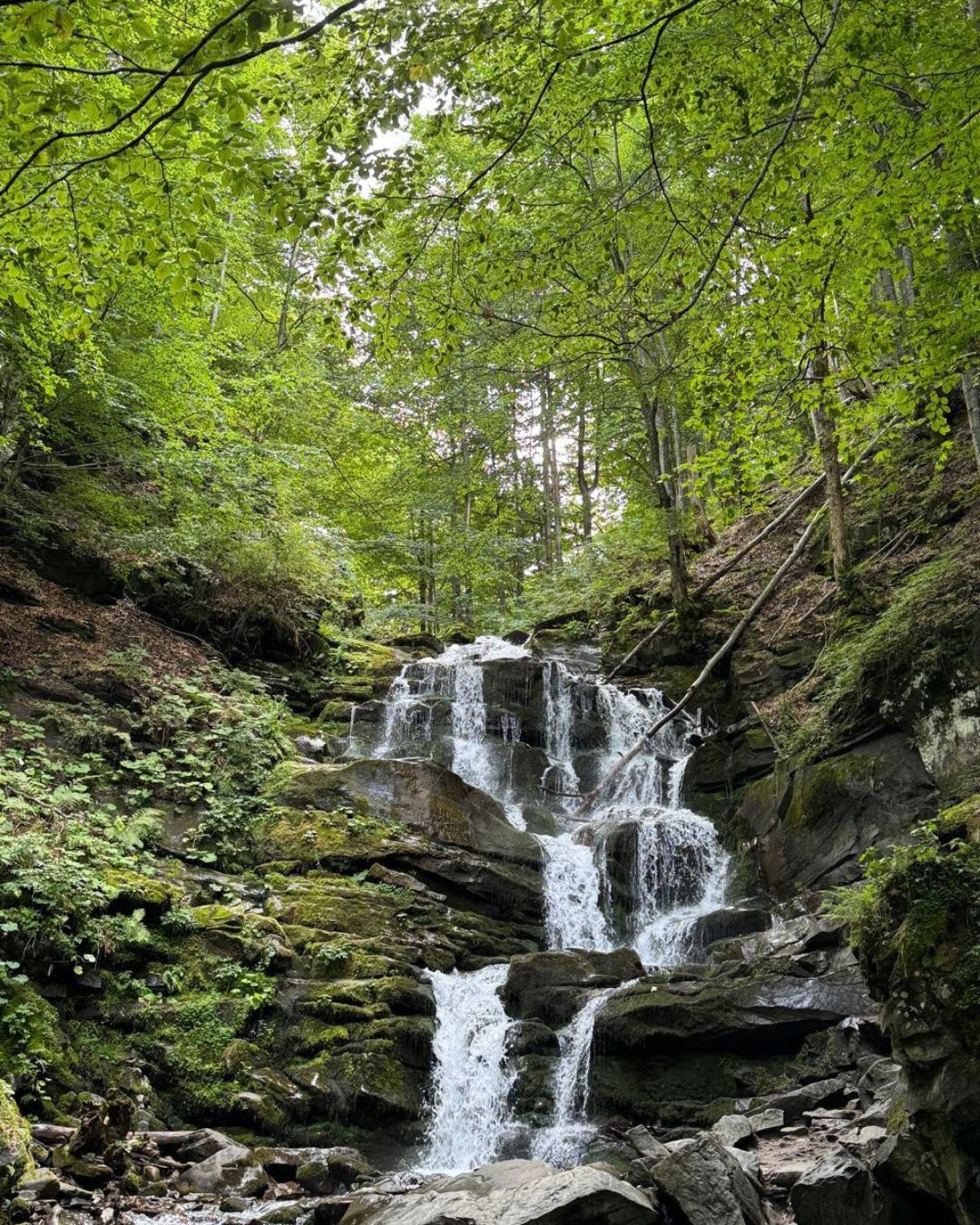 Сім'я відпочиває на терасі котеджу влітку.