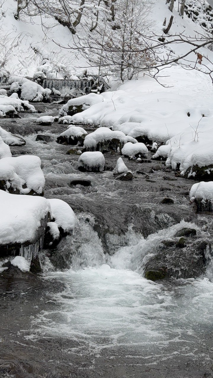 Фото котеджу Sota Ski Dream у сезон "winter" (19)