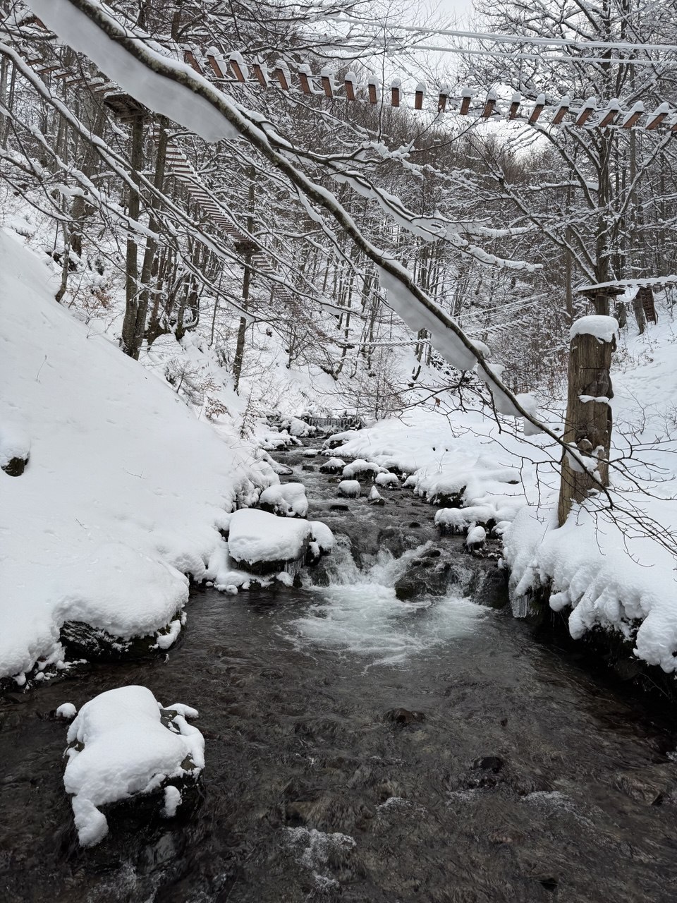 Фото котеджу Sota Ski Dream у сезон "winter" (2)